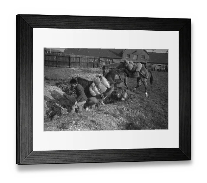 Framed Print : Loaded Horses Framed Print : Loaded Horses