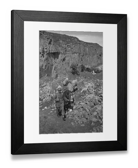 Framed Print : Horse Assault Course Framed Print : Horse Assault Course