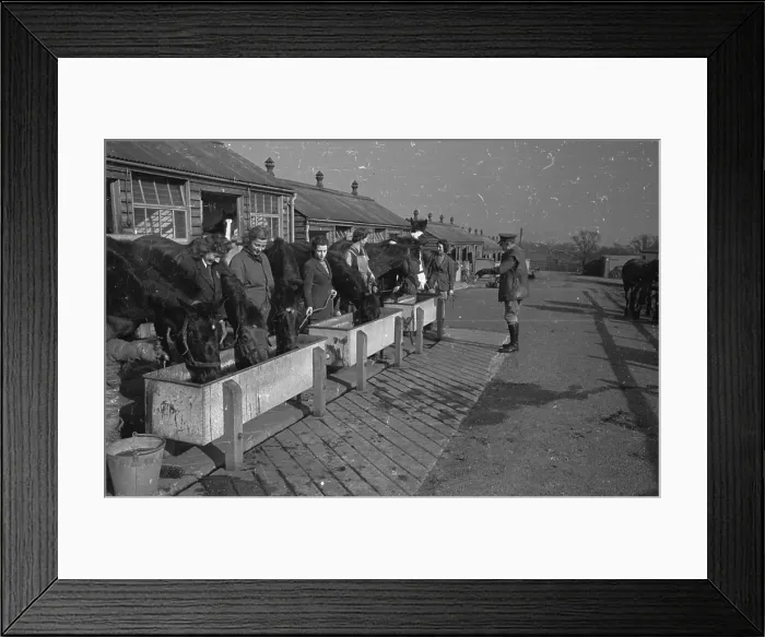 Framed Print : Horse Trainers Framed Print : Horse Trainers