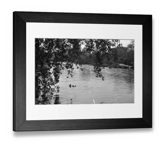 Framed Print : Park Sanctuary Framed Print : Park Sanctuary