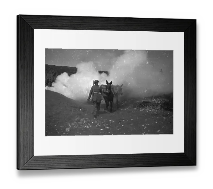 Framed Print : Horse Tempering Framed Print : Horse Tempering