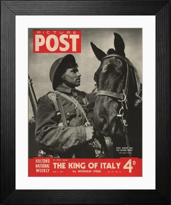 Framed Print : Pack Horse Framed Print : Pack Horse