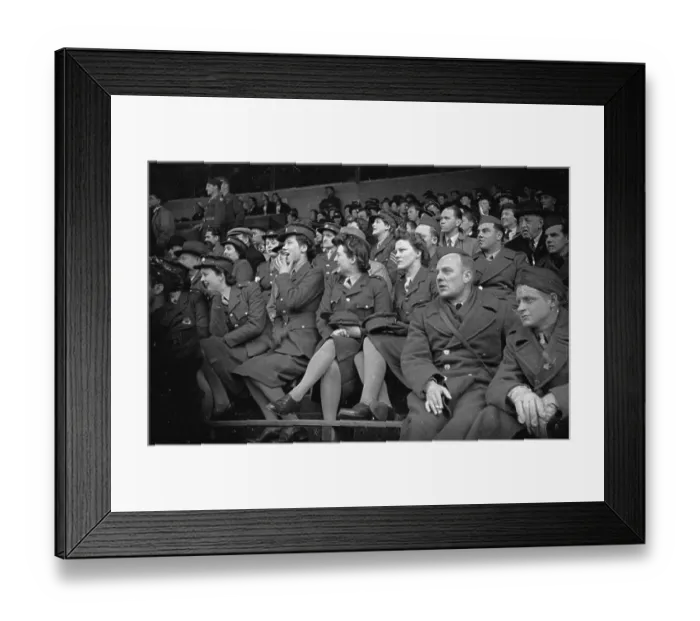 Framed Print : Mixed Reactions Framed Print : Mixed Reactions