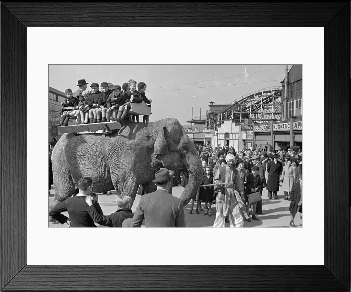 Framed Print : Elephant Ride Framed Print : Elephant Ride