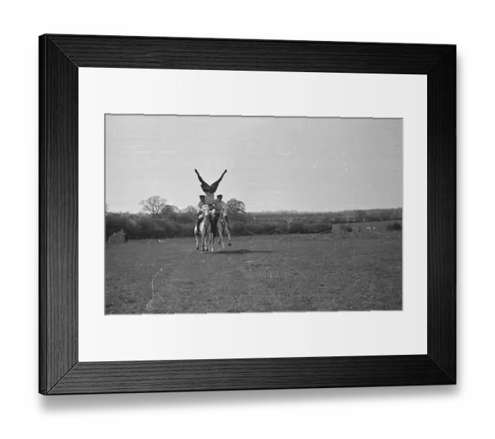 Framed Print : V Formation Framed Print : V Formation
