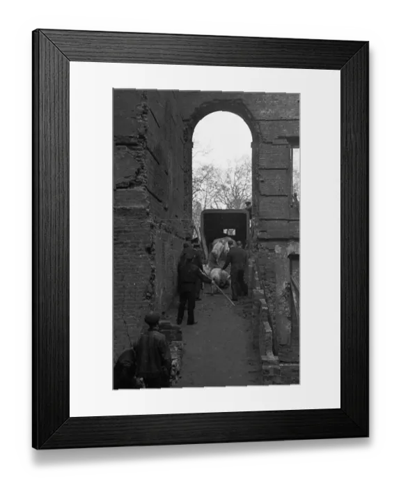 Framed Print : Wartime Pig Trade Framed Print : Wartime Pig Trade