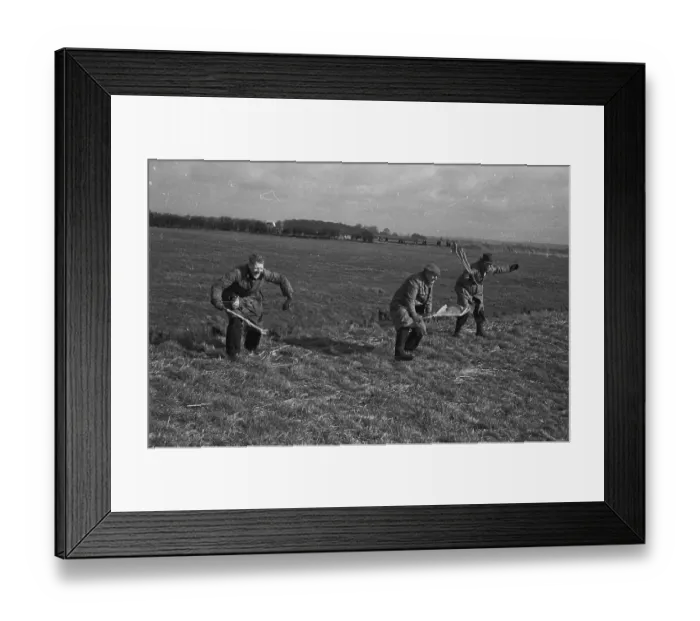 Framed Print : Beaters. 20th March 1943: Beaters wave yellow flags to drive hares onto Framed Print : Beaters. 20th March 1943: Beaters wave yellow flags to drive hares onto