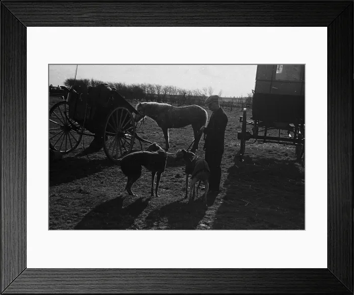 Framed Print : Waiting Their Turn Framed Print : Waiting Their Turn