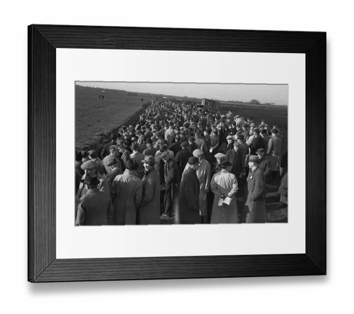 Framed Print : Members Enclosure Framed Print : Members Enclosure