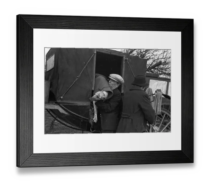 Framed Print : Arriving In Style Framed Print : Arriving In Style
