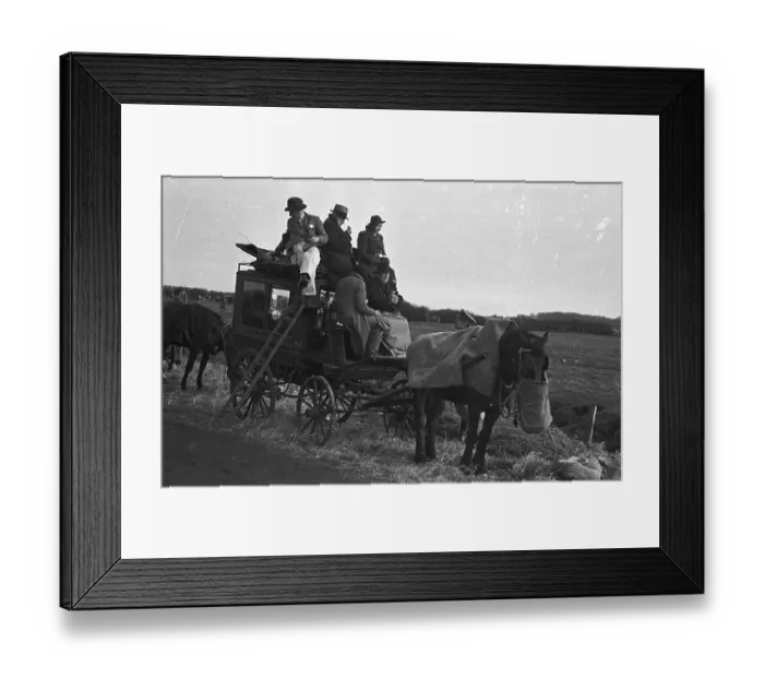 Framed Print : Dog Owners Framed Print : Dog Owners