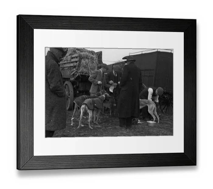 Framed Print : Studying The Form Framed Print : Studying The Form