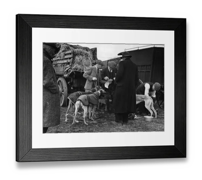 Framed Print : Owners And Dogs Framed Print : Owners And Dogs