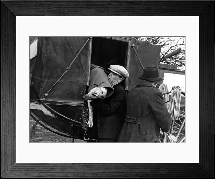 Framed Print : Dog Arrives Framed Print : Dog Arrives