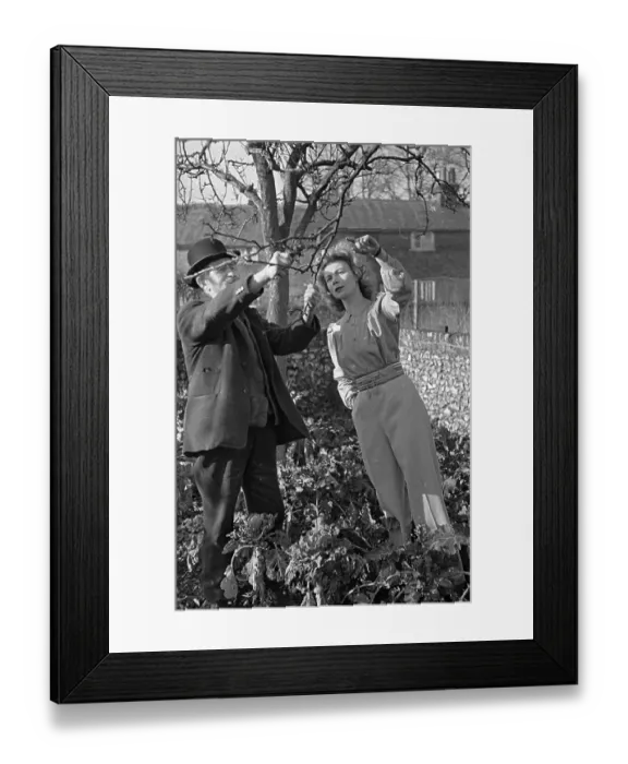 Framed Print : Fashion Bent Framed Print : Fashion Bent
