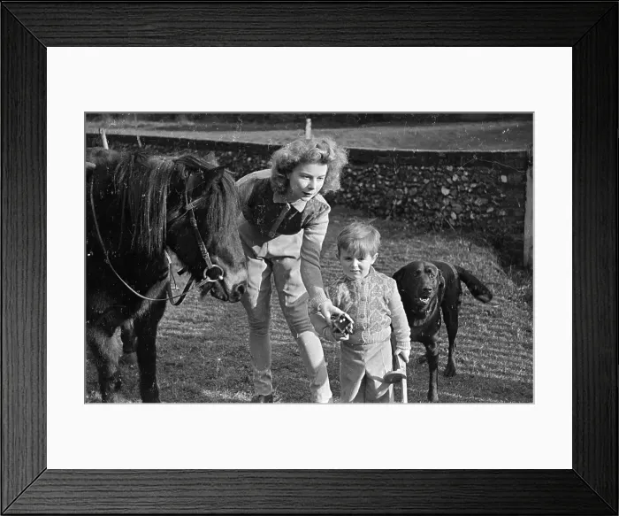 Framed Print : Country Sweaters Framed Print : Country Sweaters