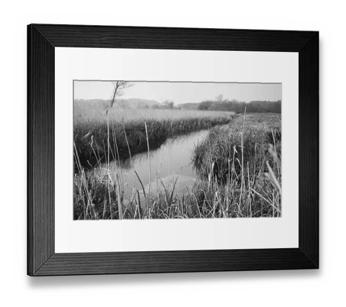 Framed Print : Undrained Ditch Framed Print : Undrained Ditch