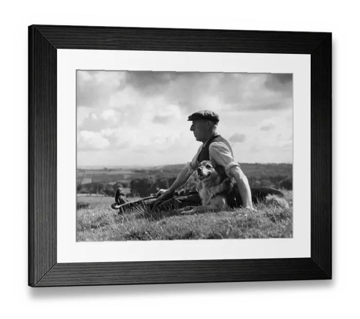 Framed Print : Man's Best Friend Framed Print : Man's Best Friend