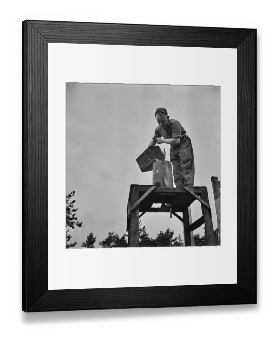 Framed Print : Army Suitability Test Framed Print : Army Suitability Test