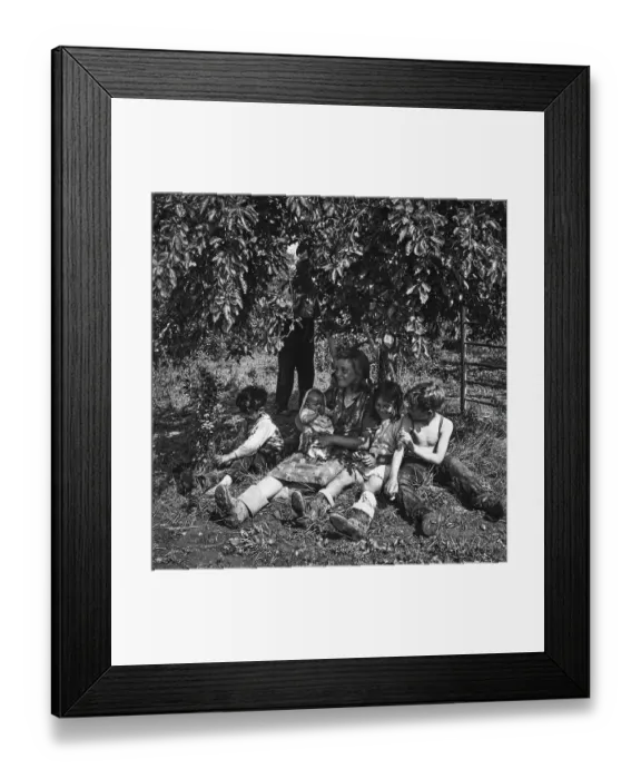 Framed Print : Plum-Picking Season 1942 Framed Print : Plum-Picking Season 1942