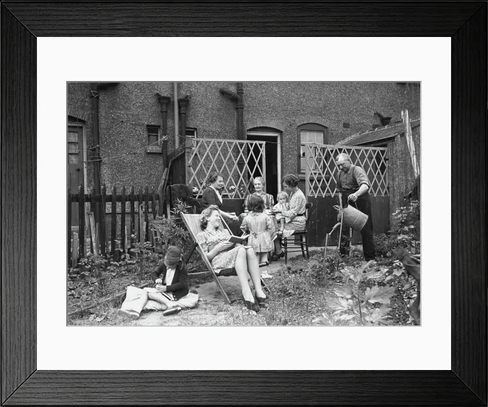 Framed Print : Back Garden Framed Print : Back Garden