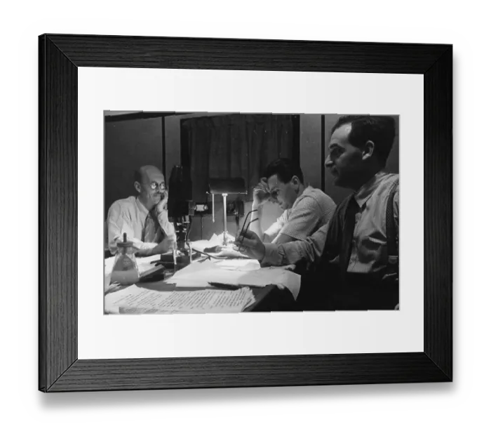Framed Print : Tom Harrisson Framed Print : Tom Harrisson