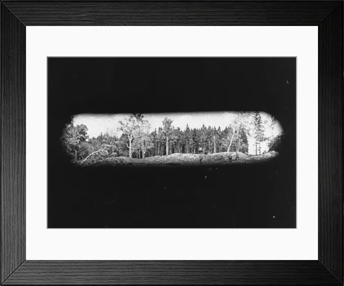 Framed Print : Russian Advance Framed Print : Russian Advance