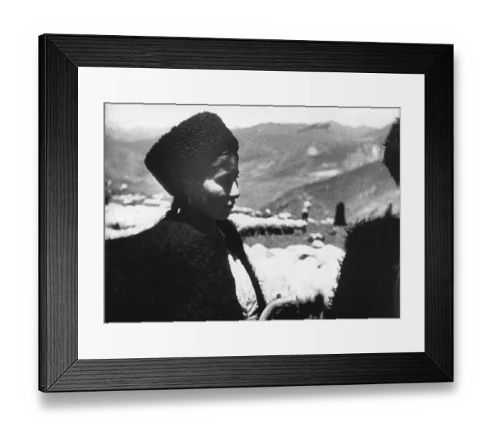 Framed Print : Shepherdess Framed Print : Shepherdess