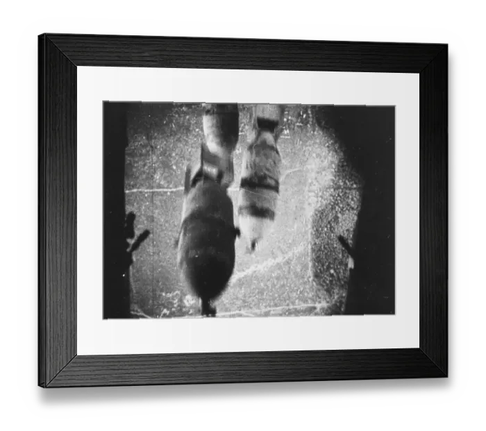 Framed Print : Bombs On Release