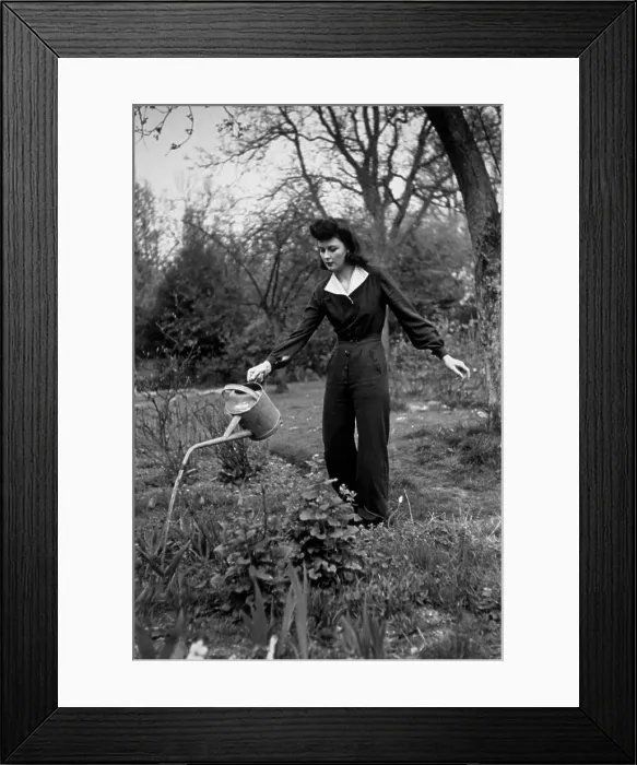 Framed Print : American Fashions Framed Print : American Fashions