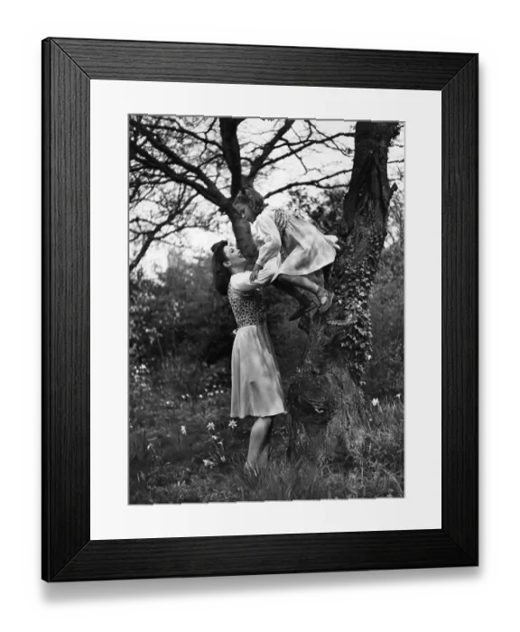 Framed Print : Tree Climbing Framed Print : Tree Climbing