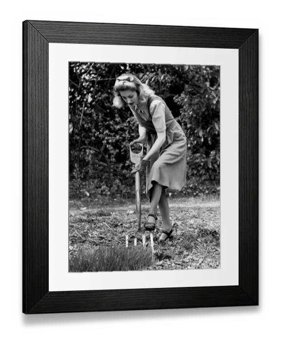 Framed Print : Woman Gardening Framed Print : Woman Gardening