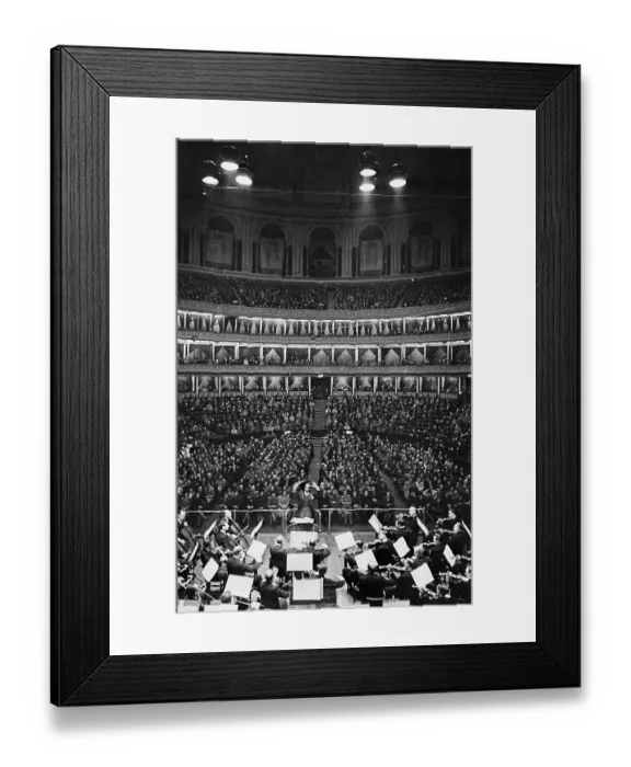 Framed Print : First Musician Of African Descent Plays The Royal Albert Hall Framed Print : First Musician Of African Descent Plays The Royal Albert Hall