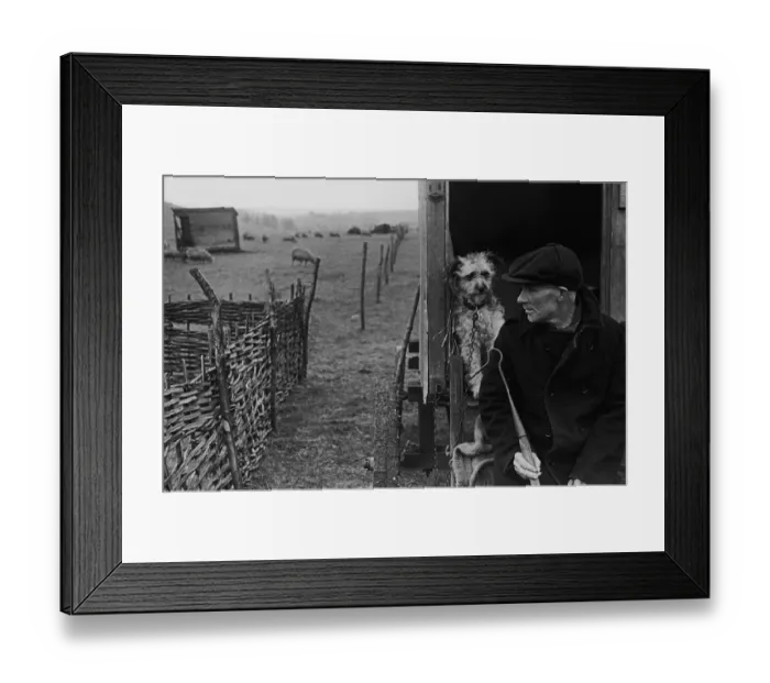 Framed Print : Wiltshire Shepherd Framed Print : Wiltshire Shepherd