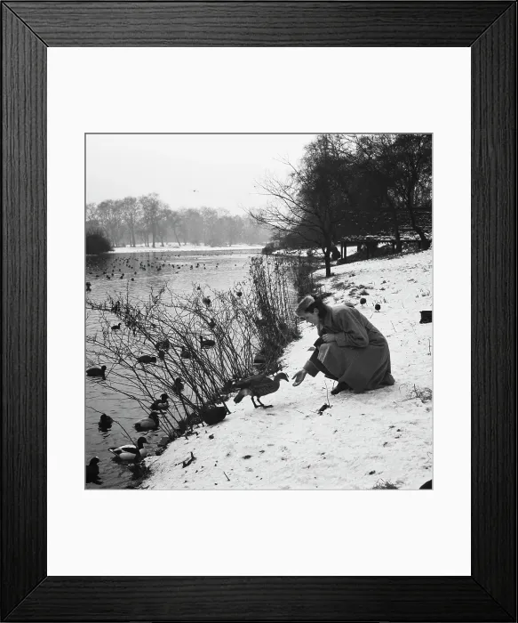 Framed Print : Snowfall In The Park Framed Print : Snowfall In The Park