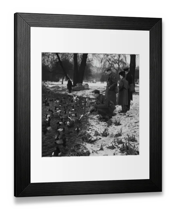 Framed Print : Snowfall In The Park Framed Print : Snowfall In The Park