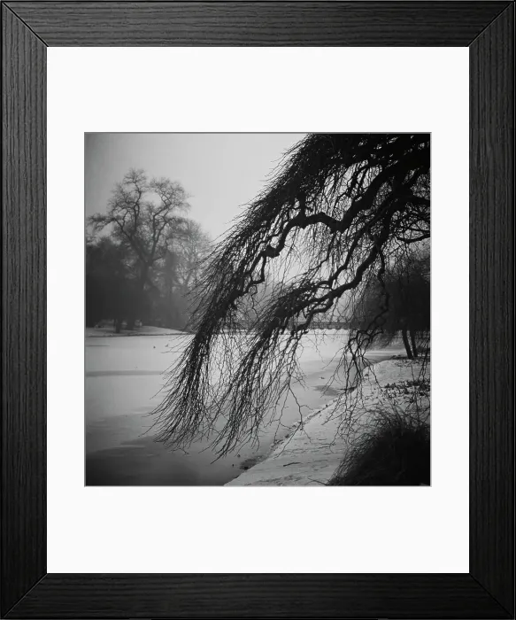 Framed Print : Snowfall In The Park Framed Print : Snowfall In The Park