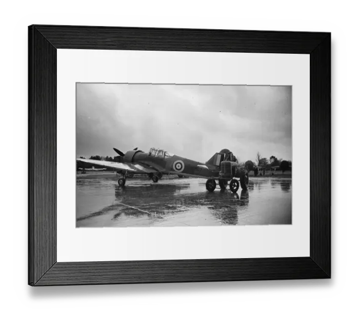 Framed Print : Miles Master Framed Print : Miles Master