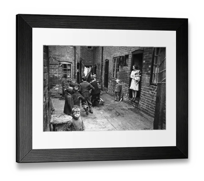 Framed Print : Backyard Scramble Framed Print : Backyard Scramble