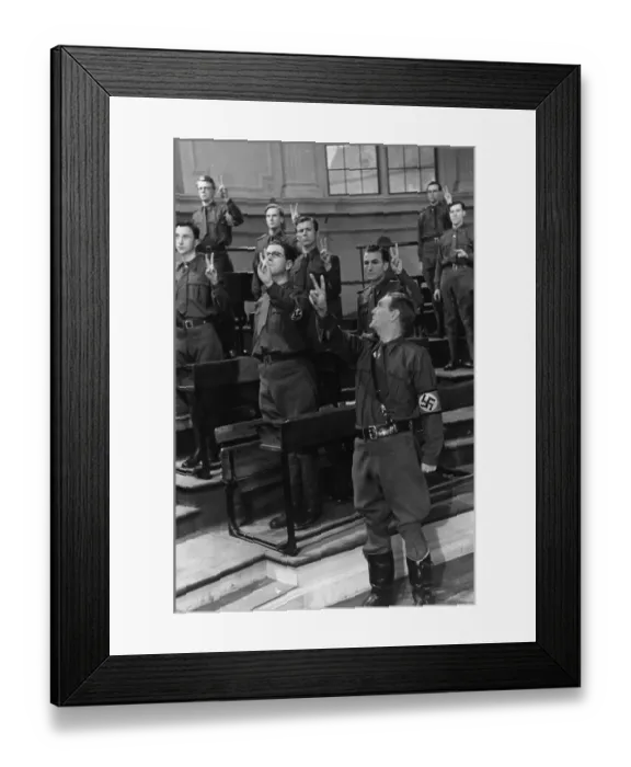 Framed Print : The Goose Steps Out Framed Print : The Goose Steps Out