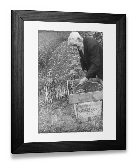 Framed Print : Vegetable Stores Framed Print : Vegetable Stores