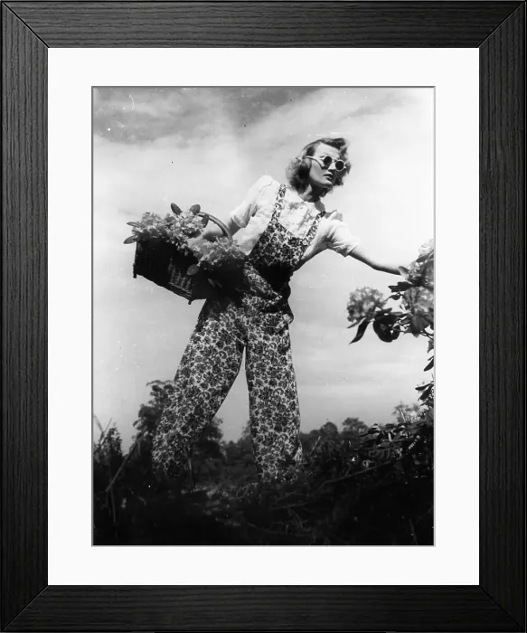 Framed Print : Ration Fashion Framed Print : Ration Fashion