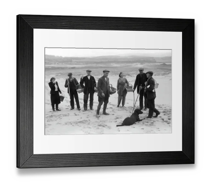 Framed Print : Egg Collectors Framed Print : Egg Collectors