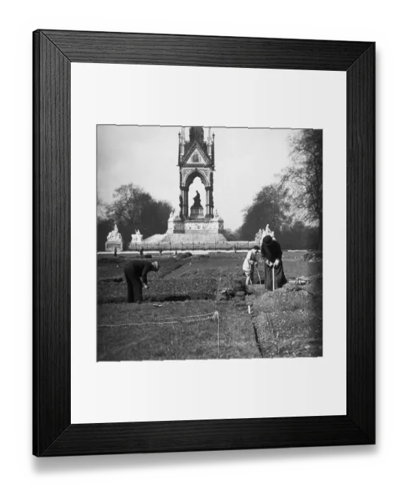 Framed Print : Memorial Allotments Framed Print : Memorial Allotments