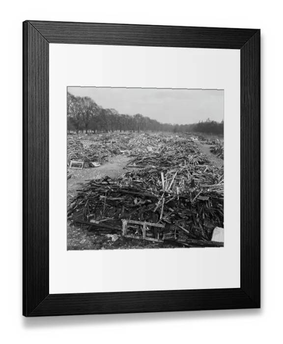 Framed Print : Spring In The Park