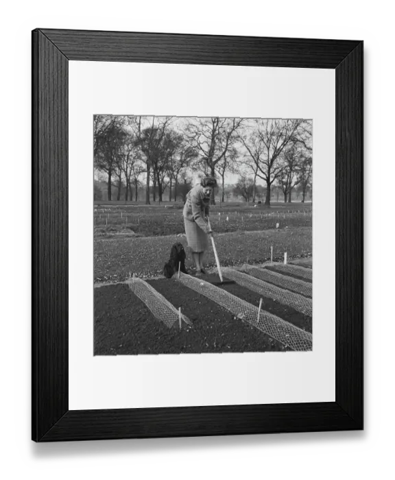 Framed Print : Spring In The Park