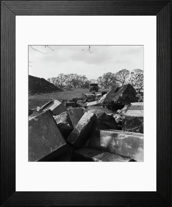 Framed Print : Spring In The Park