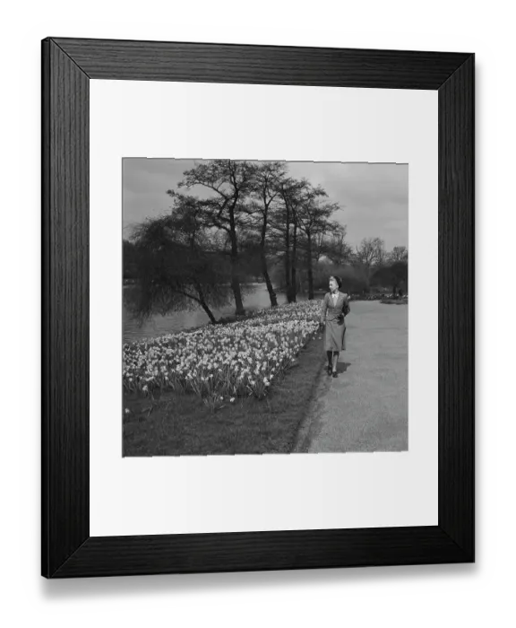 Framed Print : Spring In The Park Framed Print : Spring In The Park