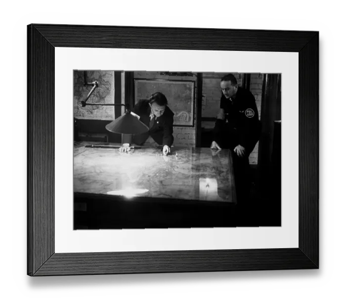 Framed Print : Roof Watchers Framed Print : Roof Watchers