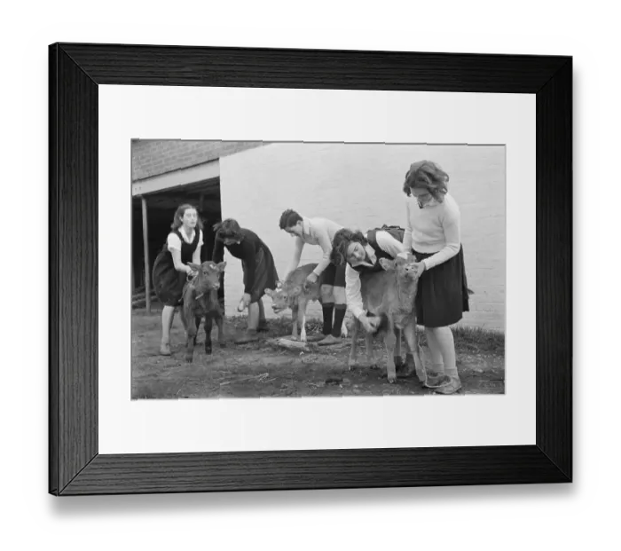 Framed Print : School Farm Framed Print : School Farm